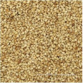 White Sesame Seeds